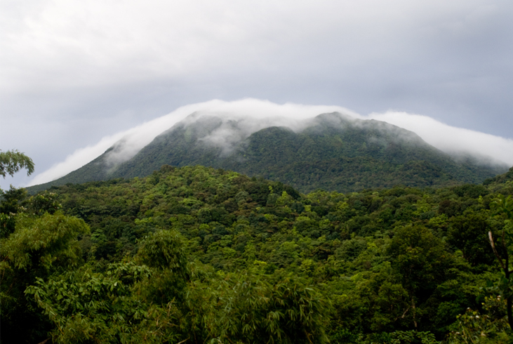 The lush Morne Trois Pitons